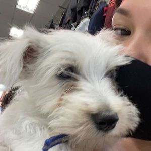 Meet your Posher, Nataly